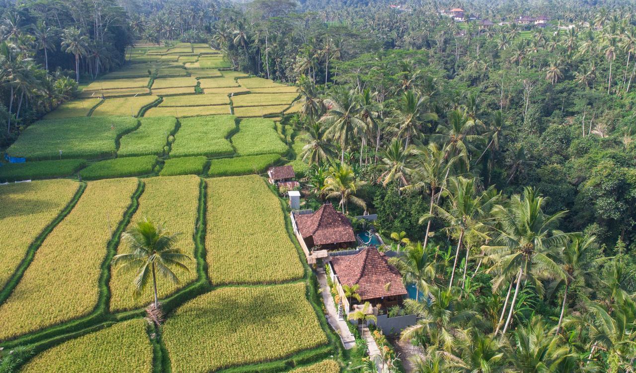 Mandana Ubud Villa Exterior photo